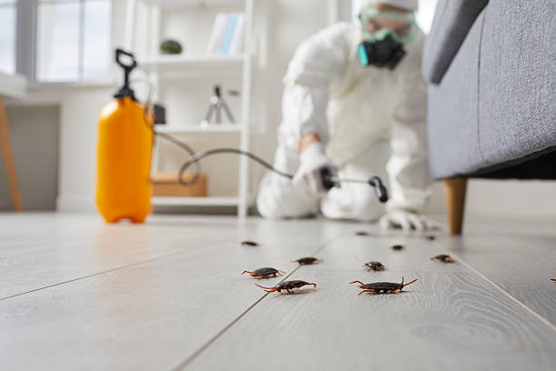 Commercial Kitchen Cockroach Control in Stoughton